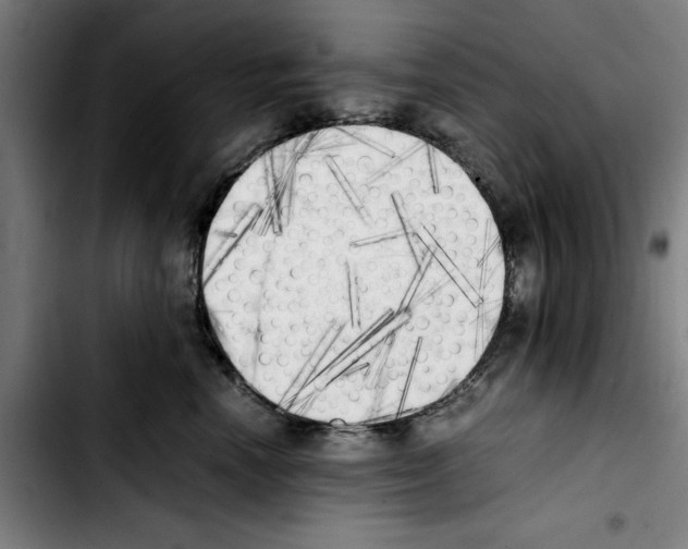 X0000103430666200810241100