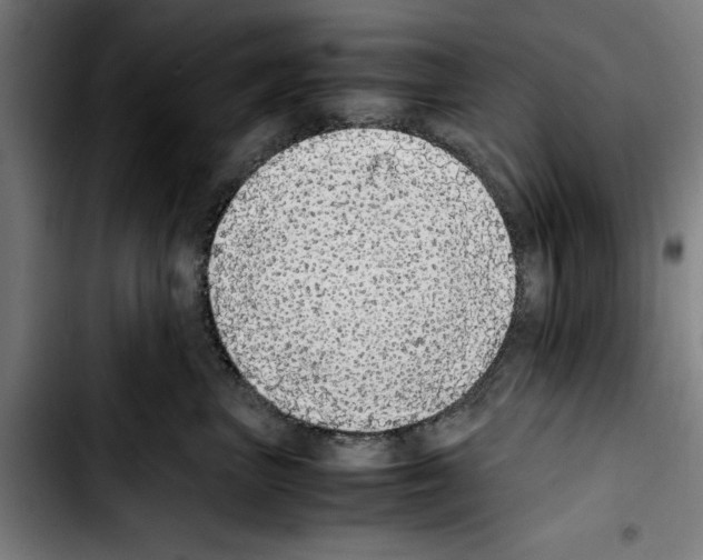 X0000103430667200810241100