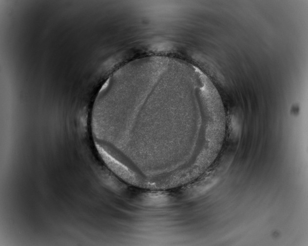 X0000103430668200810241100