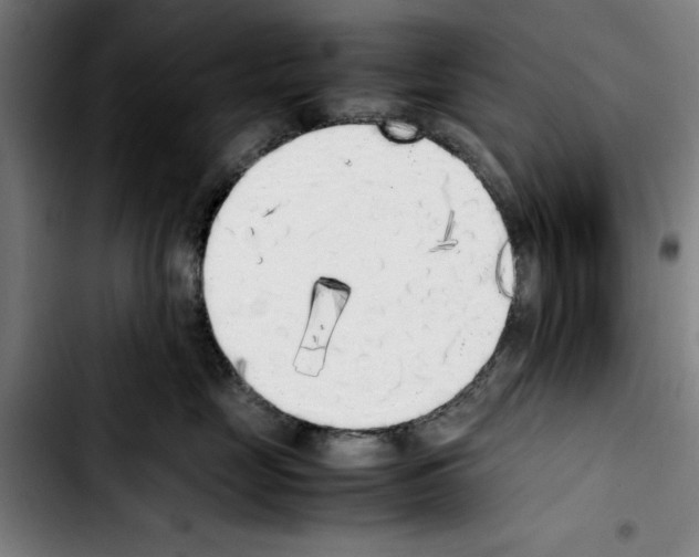 X0000103430669200810241100