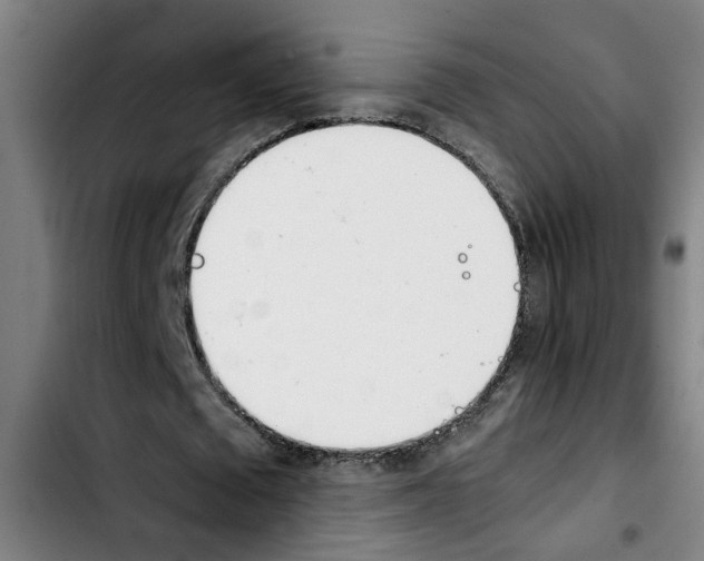 X0000103430673200810241059