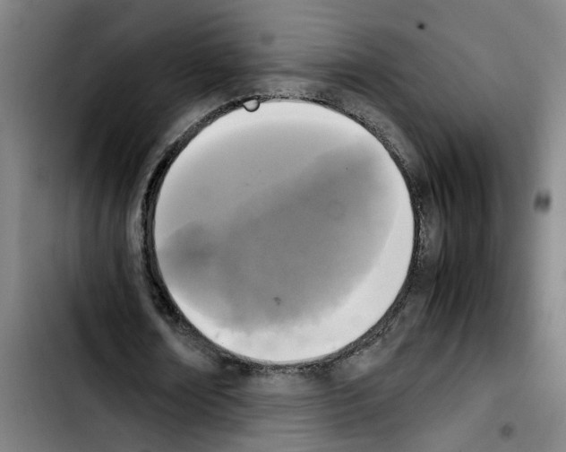 X0000103430674200810241059