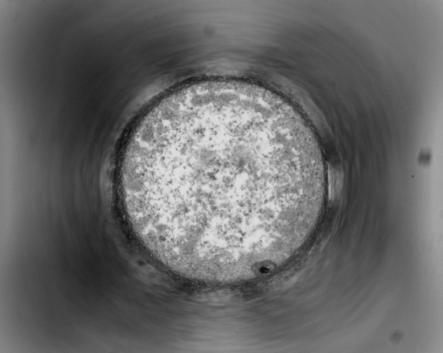 X0000103430675200810241059