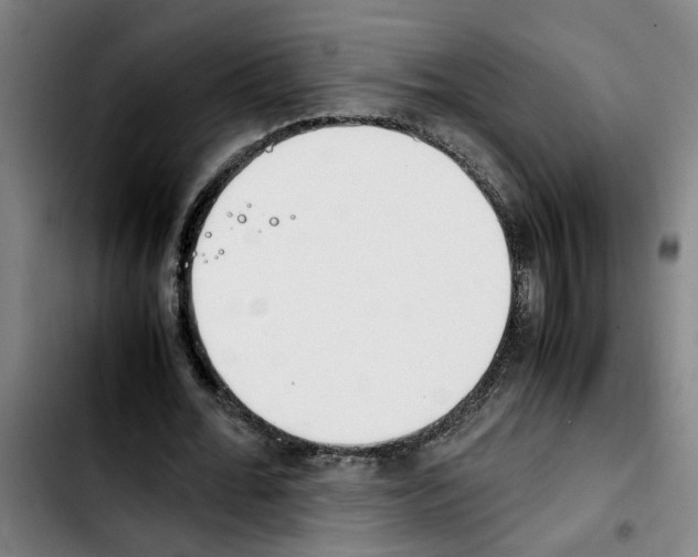 X0000103430676200810241059