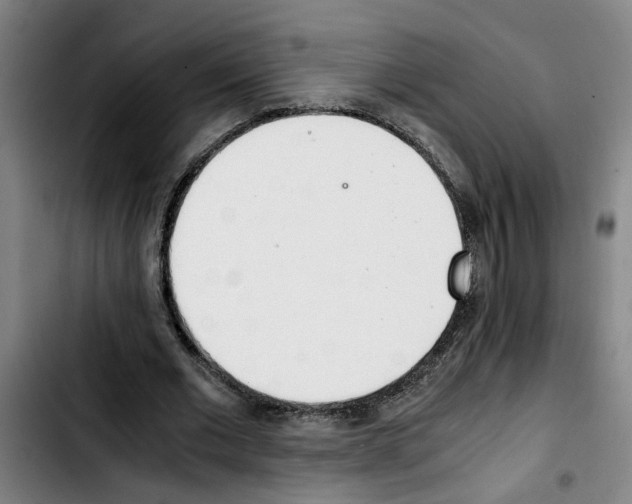 X0000103430677200810241059