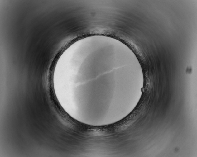 X0000103430678200810241059