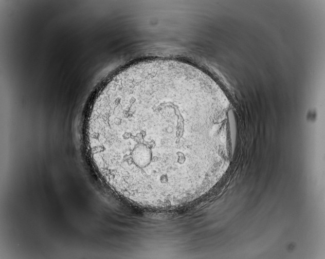 X0000103430679200810241059