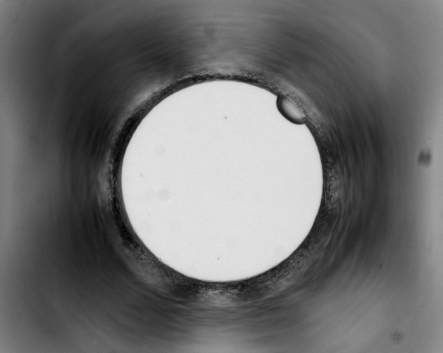 X0000103430680200810241059