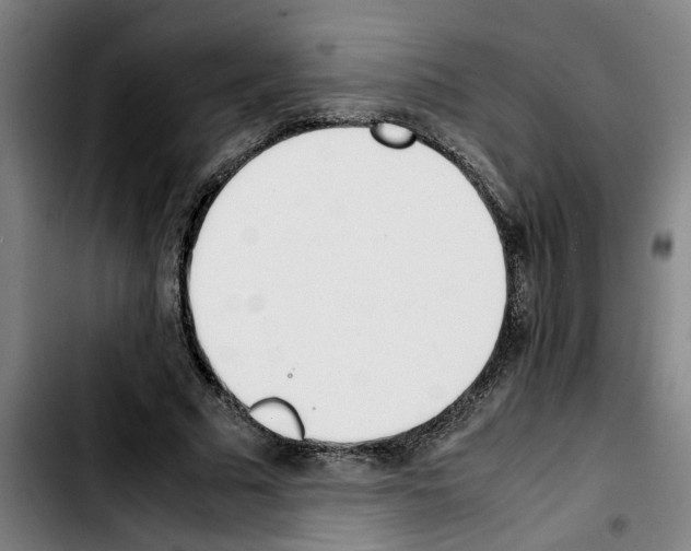 X0000103430681200810241059