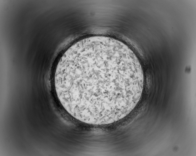 X0000103430682200810241059