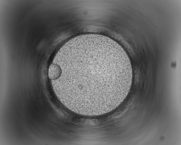 X0000103430683200810241059