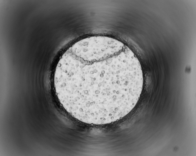 X0000103430684200810241059