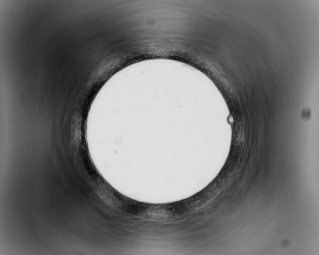 X0000103430685200810241059