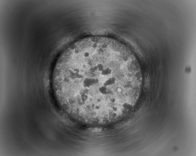 X0000103430687200810241059