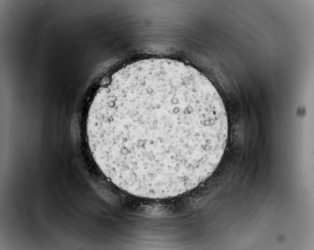 X0000103430688200810241059
