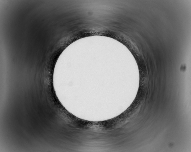 X0000103430689200810241059