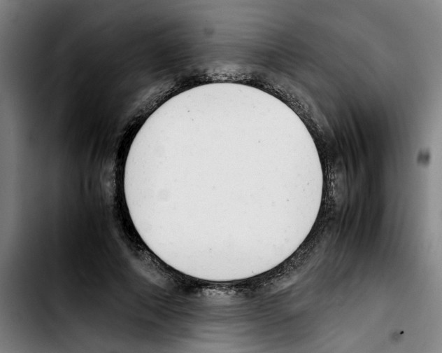 X0000103430690200810241059