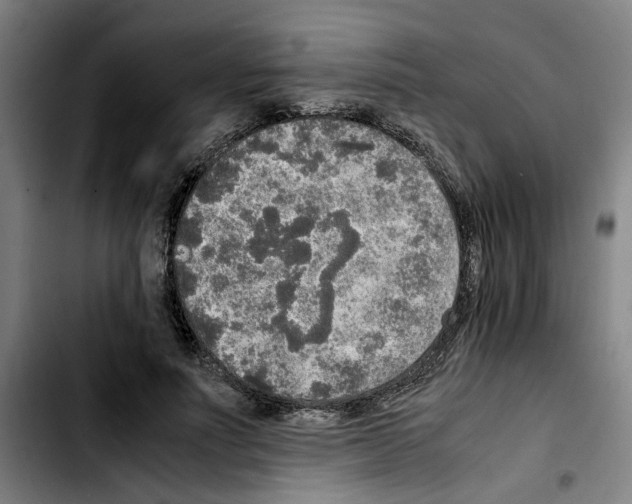 X0000103430691200810241059