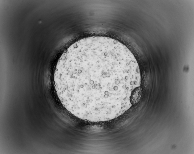 X0000103430692200810241059