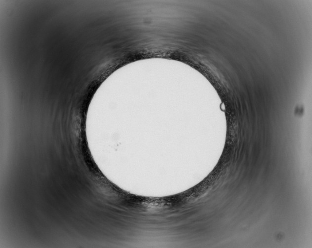 X0000103430693200810241059