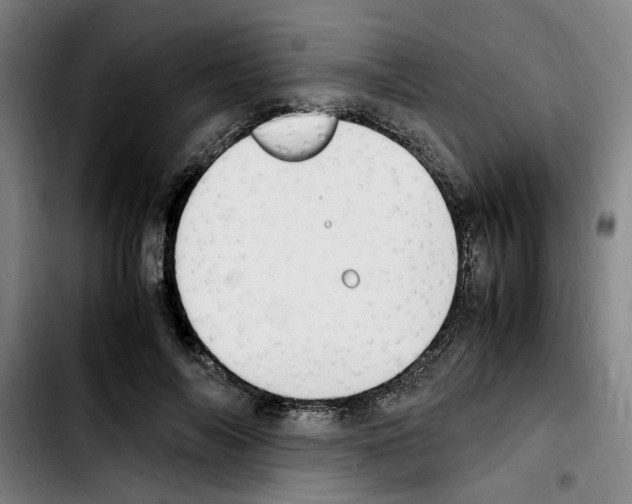 X0000103430694200810241059
