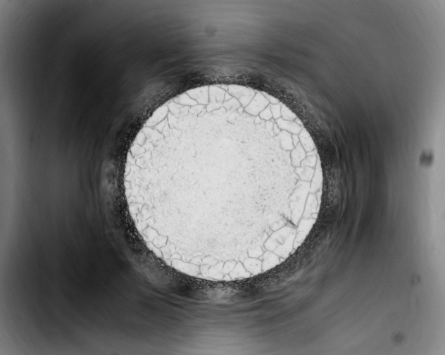 X0000103430695200810241059