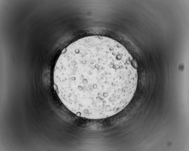 X0000103430696200810241058