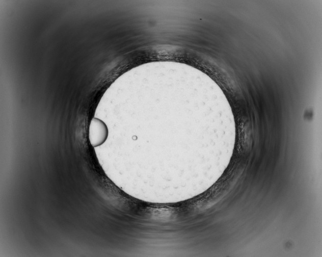 X0000103430698200810241058