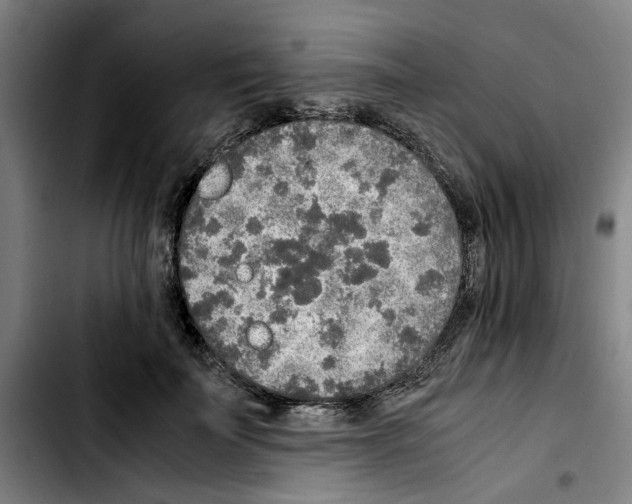 X0000103430699200810241058