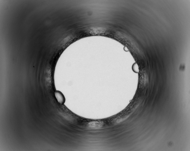 X0000103430700200810241058