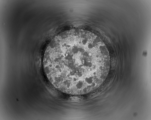 X0000103430703200810241058