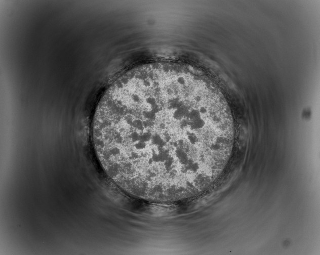 X0000103430707200810241058