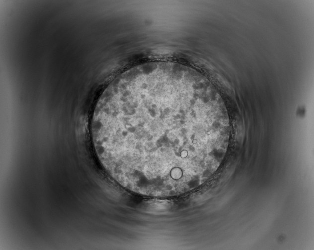 X0000103430711200810241058