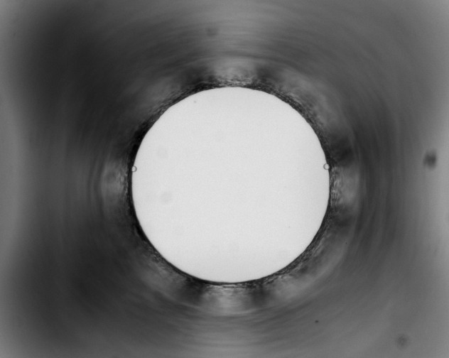 X0000103430713200810241058