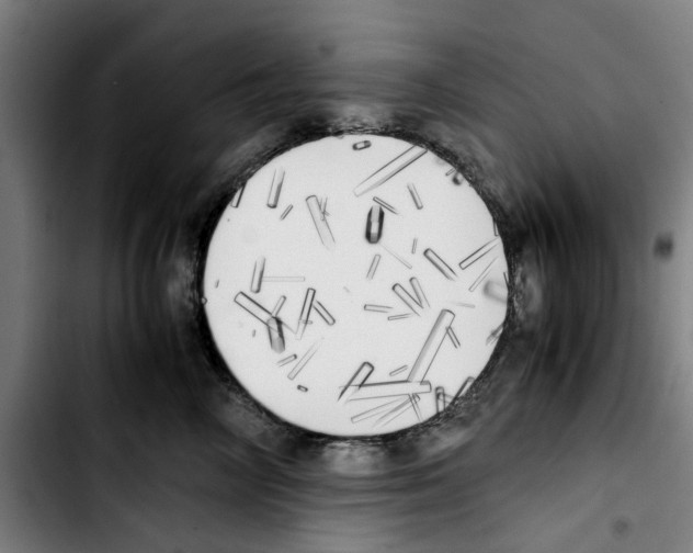 X0000103430714200810241058