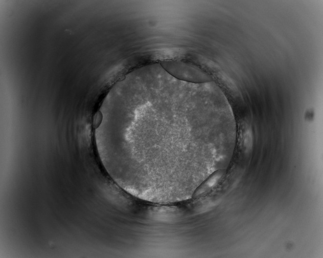 X0000103430716200810241058