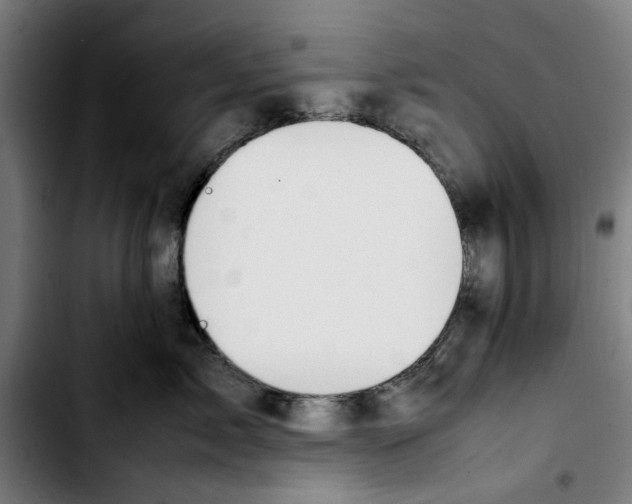 X0000103430717200810241058