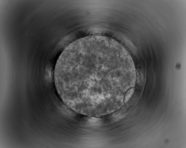 X0000103430718200810241058