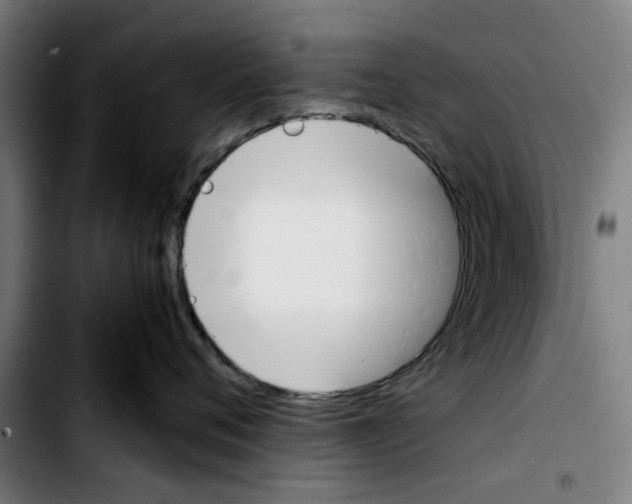 X0000103430720200810241058