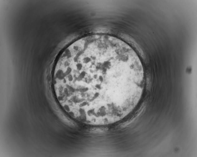 X0000103430721200810241057