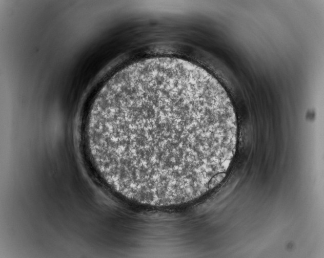X0000103430722200810241058
