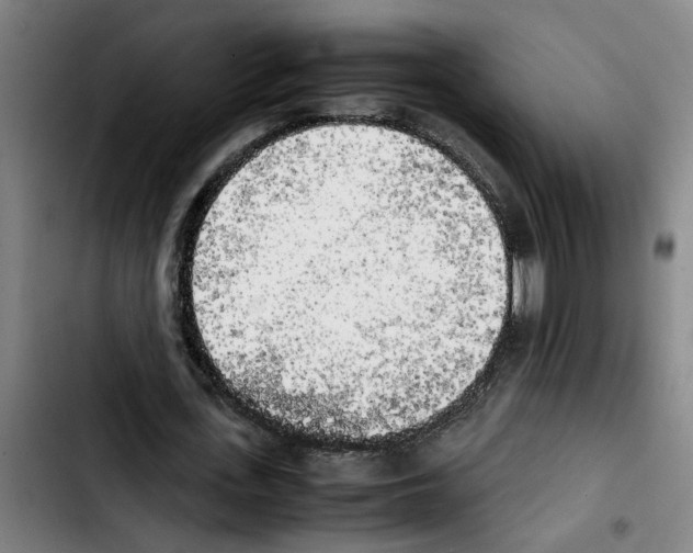 X0000103430723200810241058