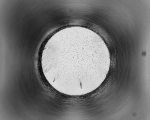 X0000103430724200810241058