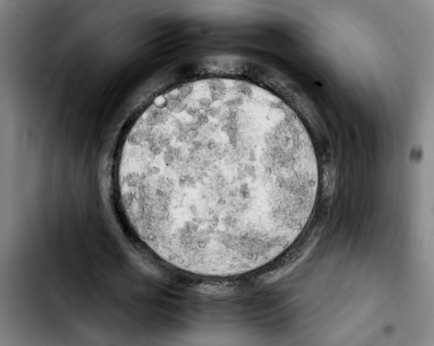 X0000103430725200810241058