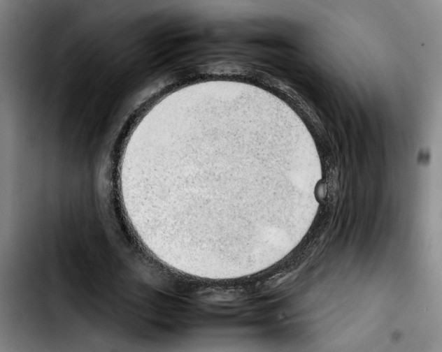 X0000103430727200810241058