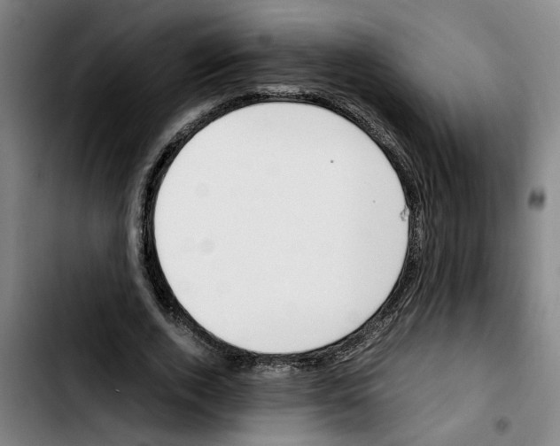 X0000103430728200810241058