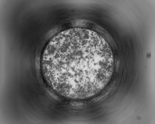 X0000103430729200810241058