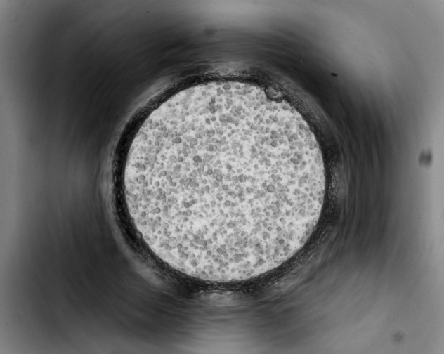 X0000103430730200810241058