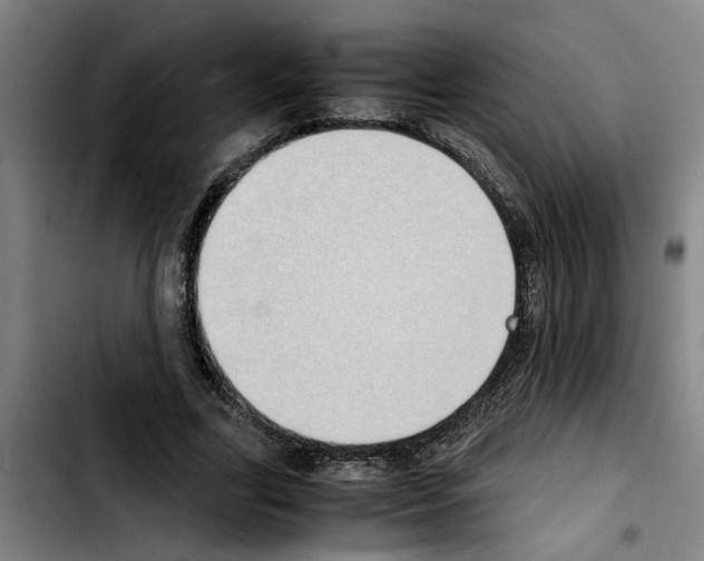 X0000103430731200810241058