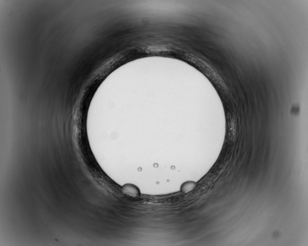 X0000103430732200810241058